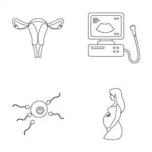 子宫 超声 施肥装置.