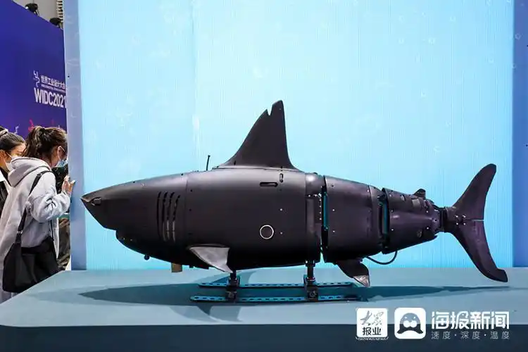 仿生金龙鱼可以用于教育科研,文娱海洋生物研究,仿生鲨鱼可以用于海床