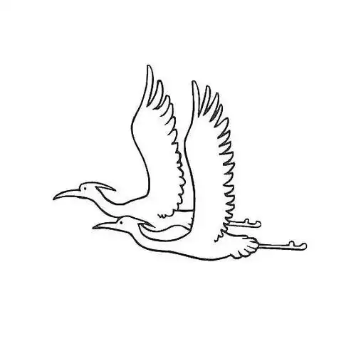 保护白鹭守护家园致全县人民的倡议书