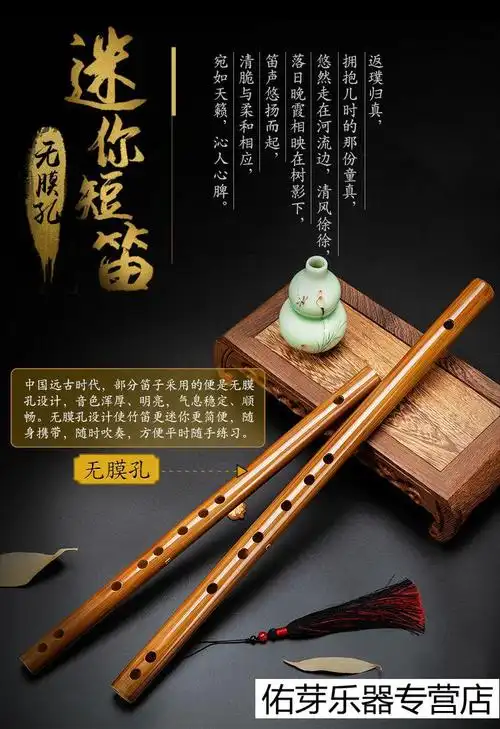 入门竹笛初学者儿童成人乐器女随身小笛子onevan短笛a调32cm6样豪华