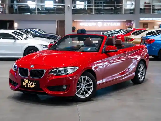 宝马跑车敞篷30万左右(宝马跑车敞篷30万左右车图)