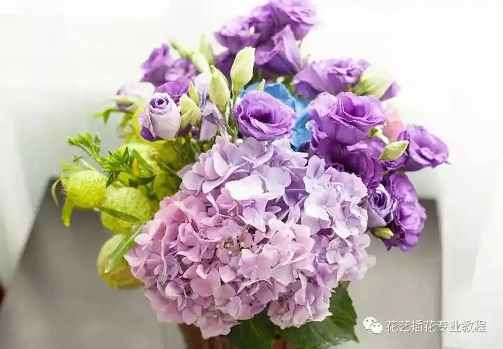 乒乓菊,银叶菊,珊瑚果,蕾丝花等  冬季花材(约12-2月):澳洲腊梅,多色