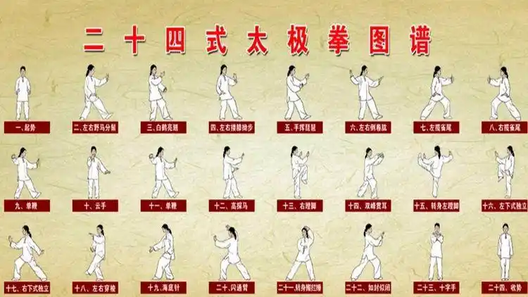 24式太极拳招式动图详解