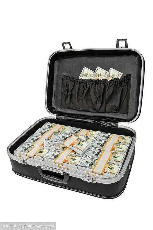 许多钱在一个手提箱孤立的白色