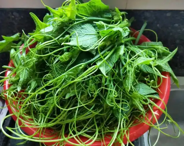 南瓜须的功效与作用 南瓜须的食用方式和注意事项