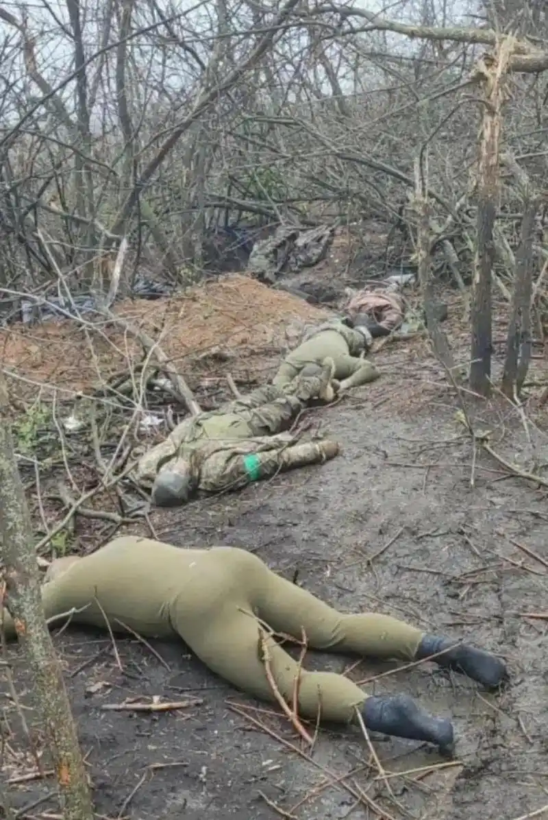 这张照片拍摄于乌克兰战场上,4个乌克兰士兵被打死后躺在荒地上,没有