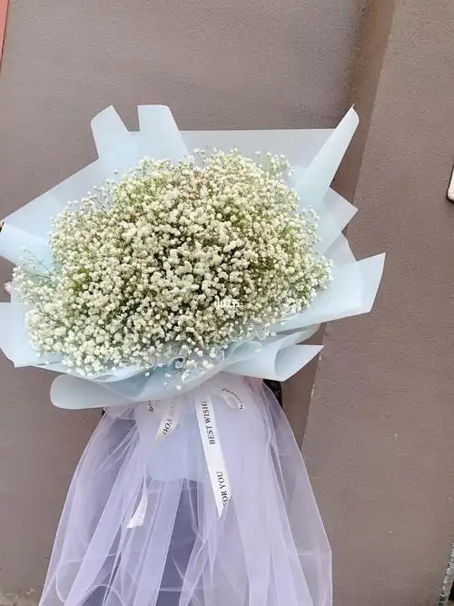 它可以象征两人之间的感情粉色满天星搭配不同的花卉,寓意也不一样和