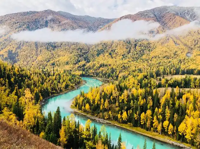 新疆阿勒泰地区喀纳斯湖,"三湾"(神仙湾月亮湾卧龙湾风光)