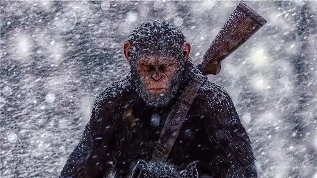 《猩球崛起3》凯撒为了复仇,勇闯人类军营,面对枪口也要带猿族崛起