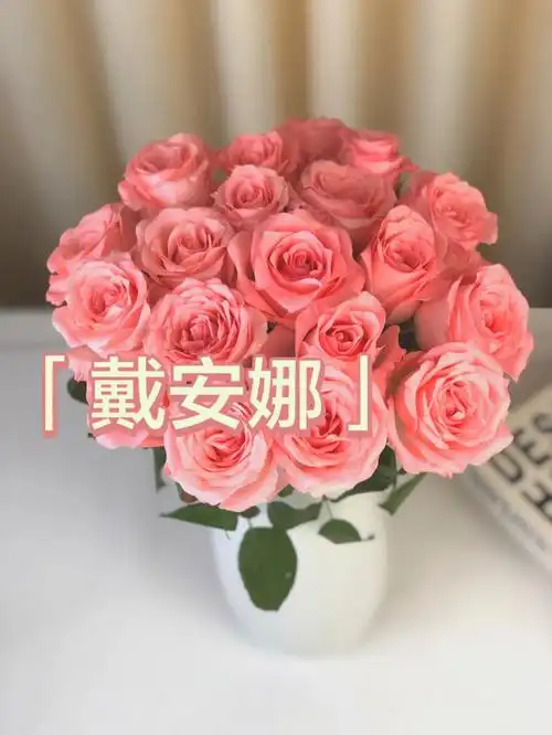 戴安娜玫瑰戴安娜玫瑰花语:感动,爱的宣言,铭记于心 ,初恋,喜欢你那