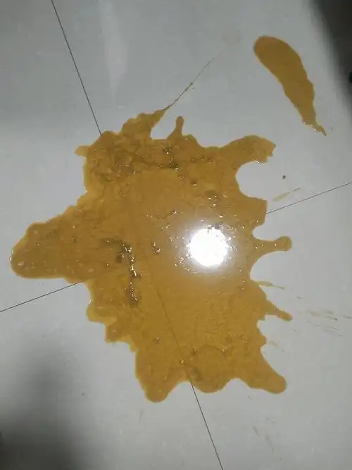 【讨论】小狗狗吐了一天,呕吐物有腥臭味儿(内有图)