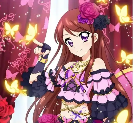 紫吹兰角色图鉴 紫吹兰,《偶像活动》第一,第二季,剧场版中的女主角