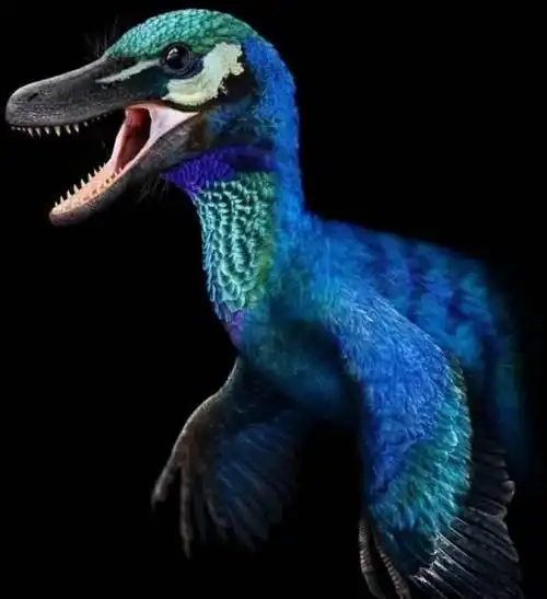 火盗龙冠龙迅猛龙熊齿兽腕龙泰坦鸟雷神翼龙巨猿巴博剑齿虎霸王龙环境