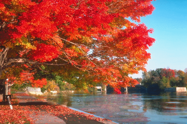 600_399gif 动态图 动图