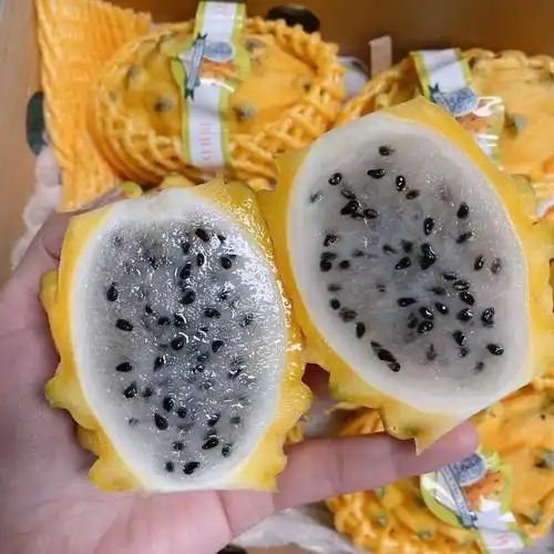 海南燕窝果黄金麒麟果新鲜水果现摘顺丰发货5斤礼盒装黄皮火龙果