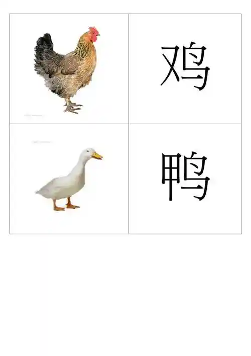 宝宝新版幼儿识字卡片配图大全