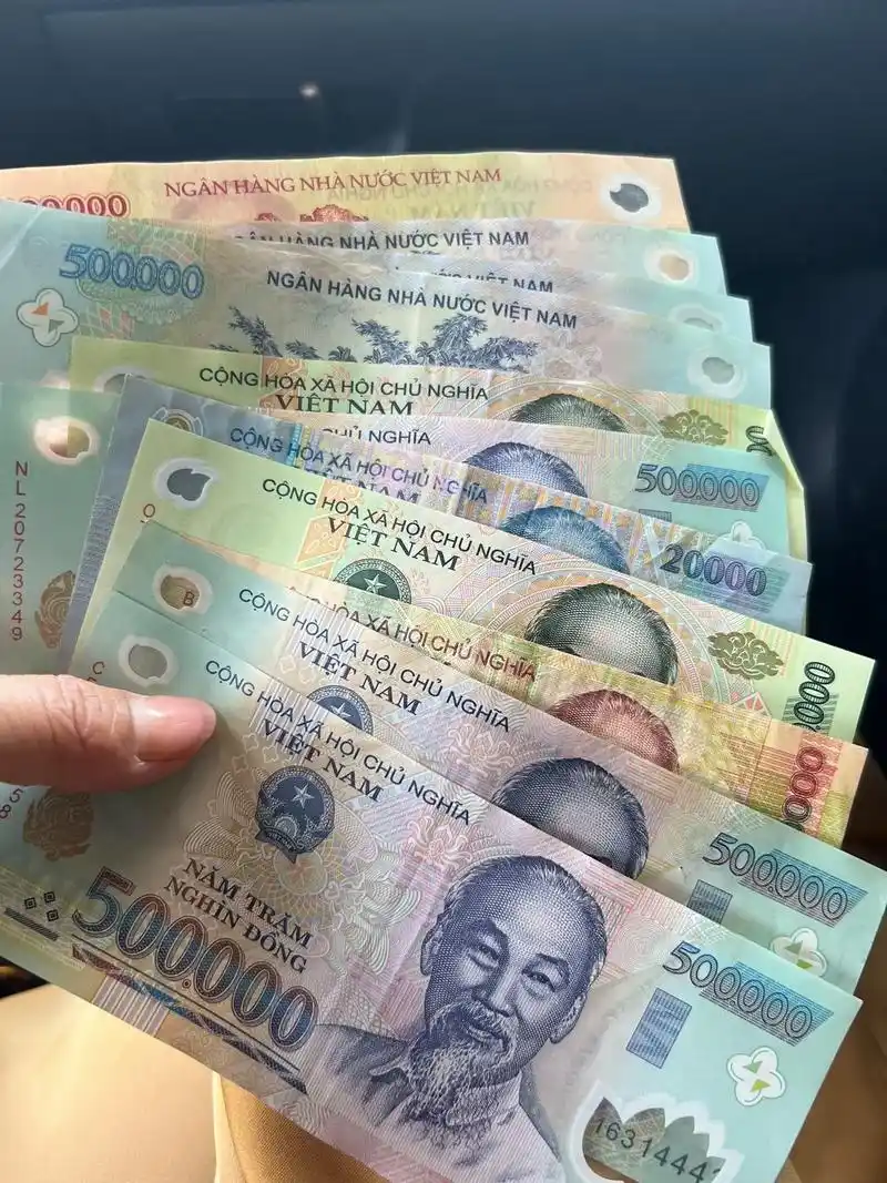 500万越南币.准备去溜达一圈,主要是没有花过,也没有见过 - 抖音