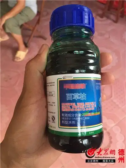 7月起国内禁售百草枯水剂 德州部分门市仍有售