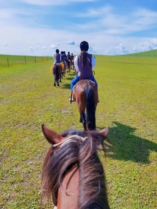 来草原一定要骑马过把蒙古瘾呼伦贝尔骑马全攻略