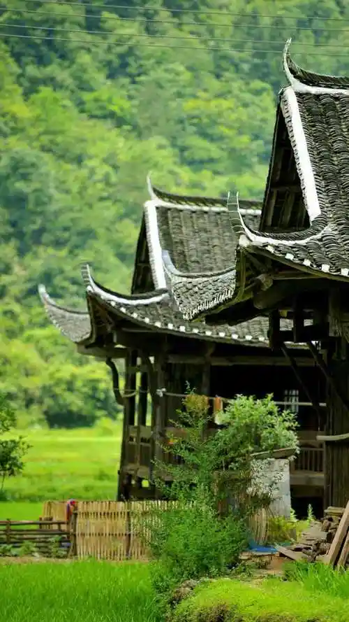 湘西吊脚楼 - 花粉漫谈库 花粉俱乐部