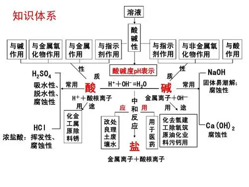 《酸和碱》中考复习ppt课件[1]答案