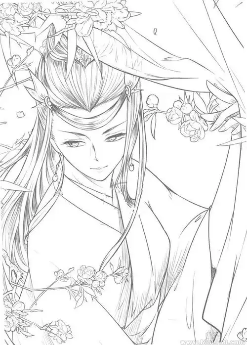 古风线稿集第三套,喜欢古风的同学可以作为临摹的素材的,有条寄的