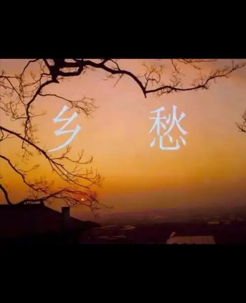 它是漂泊游子心中的根,苦涩乡愁的尽头