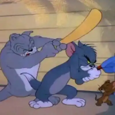 辞桉三人闺蜜既可爱又沙雕咳哈哈哈