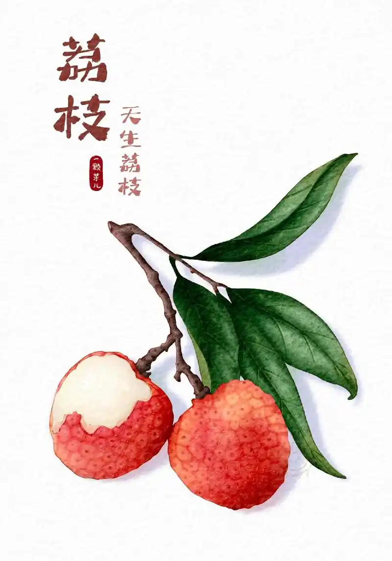 板绘水彩||直播带画水果第六弹--荔枝.谐音梗又来了     - 抖音