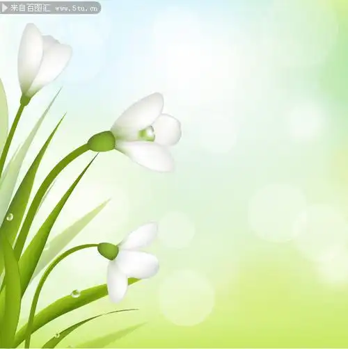 清新花朵图片素材-鲜花花朵-百图汇素材网