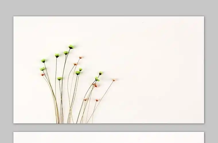 六张简约清新花束ppt背景图片