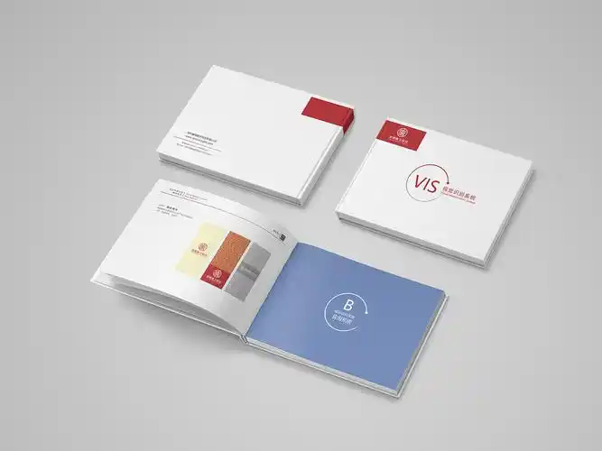 唐明数字科技vi手册