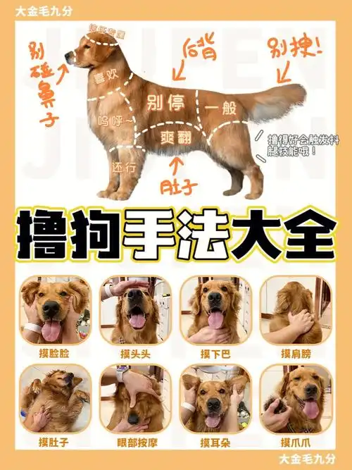 97撸狗攻略丨91566种新手必学正确摸狗手法6015