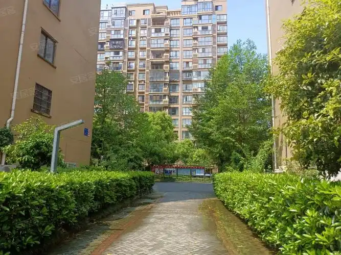 金城高尔夫(二区)