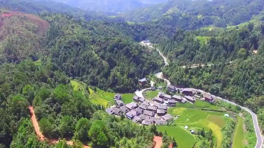 此地巨龙腾飞,龙脉强劲有力,出状元的风水宝地