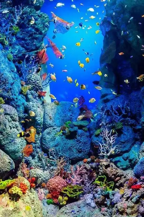 世界美景!大饱眼福!