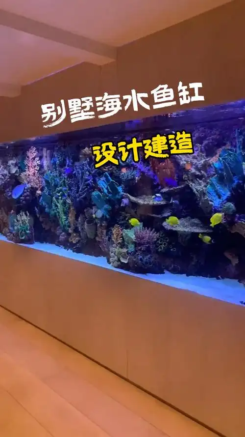 大型别墅海水鱼缸,专属于你的私人水族馆