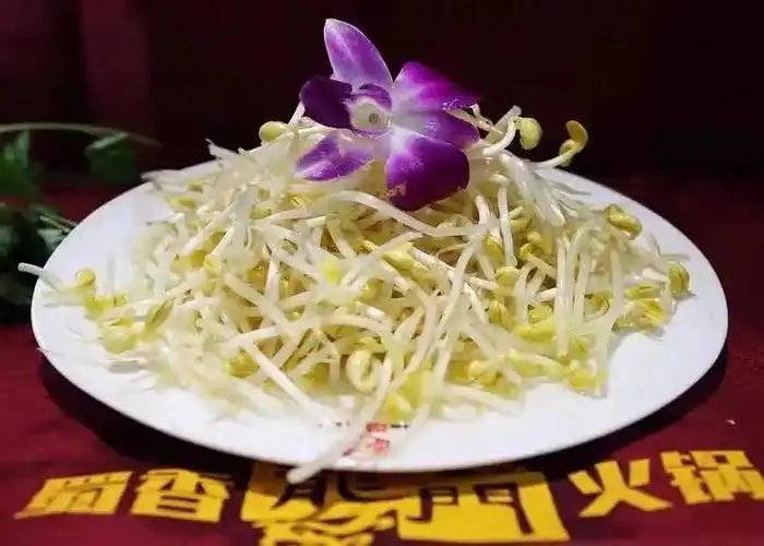 黄豆芽
