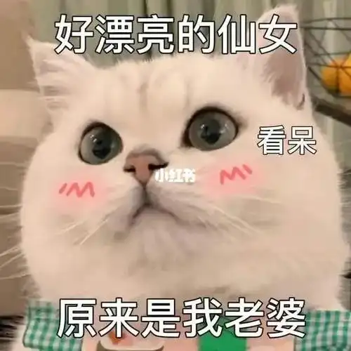 报告老婆今天也很爱老婆