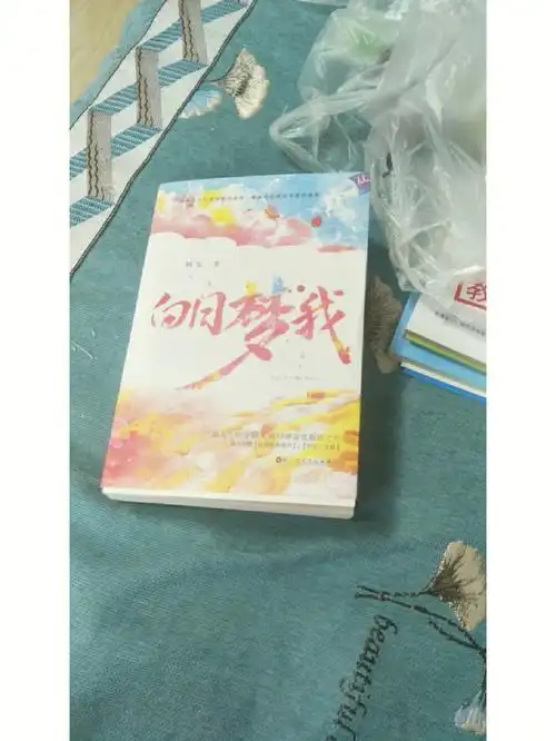 小说白日梦我