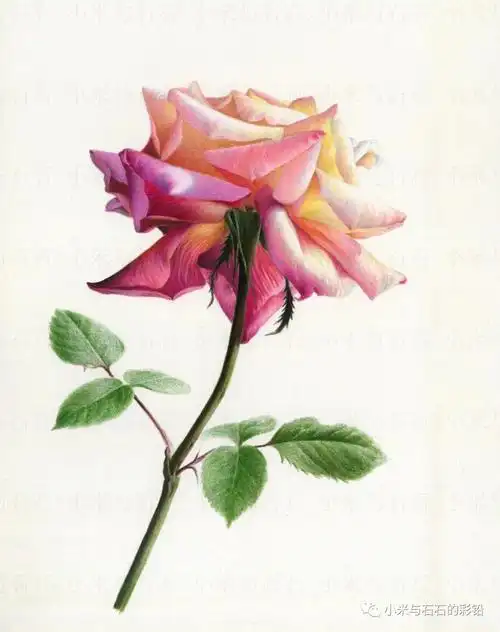 彩铅手绘#寻找小红书绘画大神  #画画  #绘画日常  #彩铅画