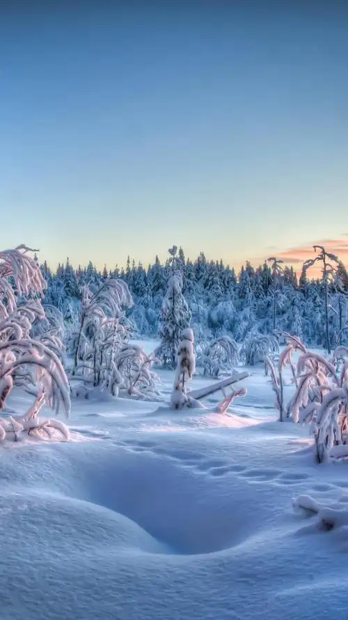 冰雪世界唯美风景,高清图片,手机锁屏桌面-壁纸族