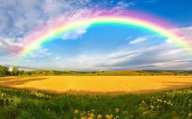 作者:贾薪臣"不经历风雨,怎能见彩虹?