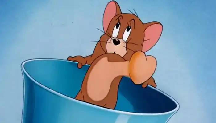 猫和老鼠的老鼠叫什么名字