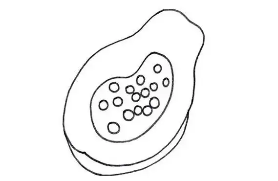 怎么画切开的木瓜,图片,简笔画-学笔画
