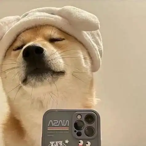 搞笑憨憨头像男生搞笑搞笑女头像巴啦啦小魔仙巴啦啦小魔仙搞笑黑人