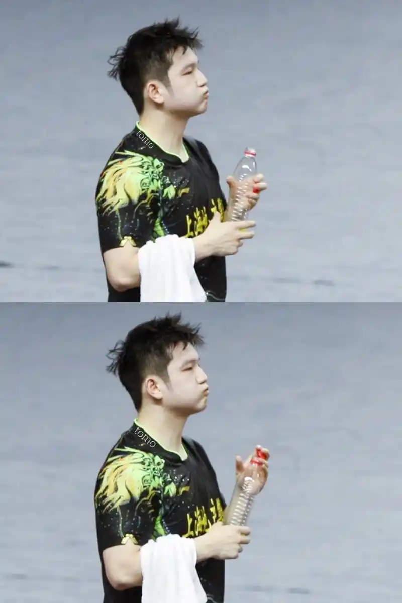 熊猫(东东)喝水 夏天记得多喝水呀#樊振东