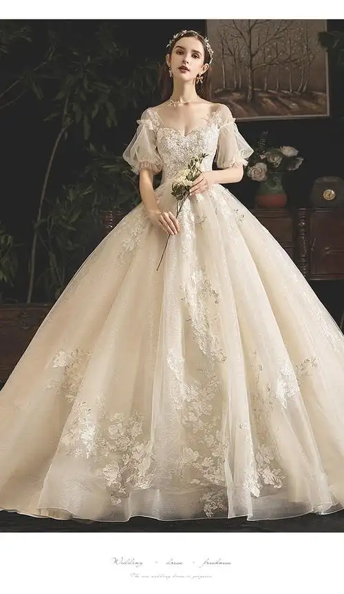 孕妇婚纱2020新款新娘拖尾豪华奢侈齐地显瘦香槟色复古长袖主婚纱