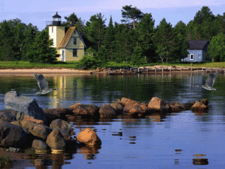 满园春色关不住唯美高清风景gif动图