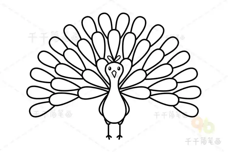 简单孔雀开屏简笔画画法